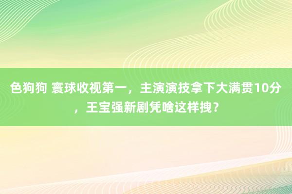 色狗狗 寰球收视第一，主演演技拿下大满贯10分，王宝强新剧凭啥这样拽？