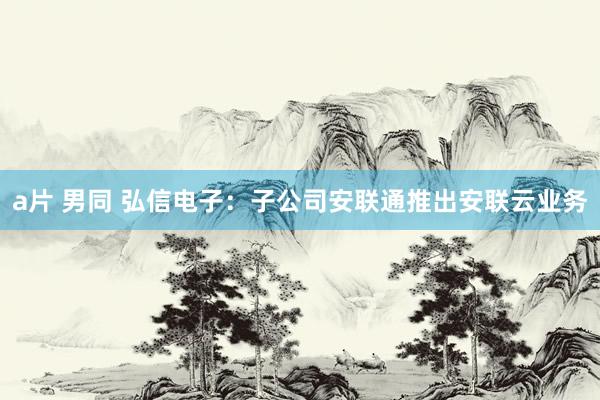 a片 男同 弘信电子：子公司安联通推出安联云业务