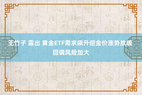 王竹子 露出 黄金ETF需求飙升但金价涨势放缓 回调风险加大