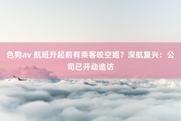 色狗av 航班升起前有乘客咬空姐？深航复兴：公司已开动造访