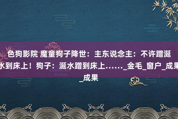 色狗影院 魔童狗子降世：主东说念主：不许蹭涎水到床上！狗子：涎水蹭到床上……_金毛_窗户_成果