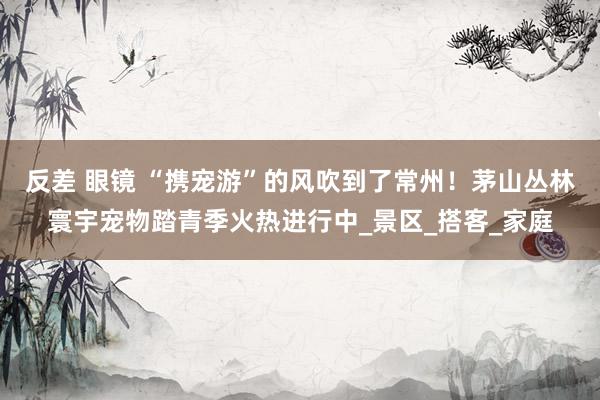 反差 眼镜 “携宠游”的风吹到了常州！茅山丛林寰宇宠物踏青季火热进行中_景区_搭客_家庭