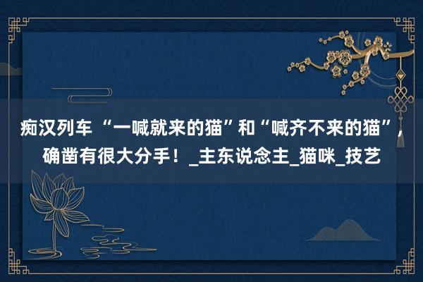 痴汉列车 “一喊就来的猫”和“喊齐不来的猫”，确凿有很大分手！_主东说念主_猫咪_技艺