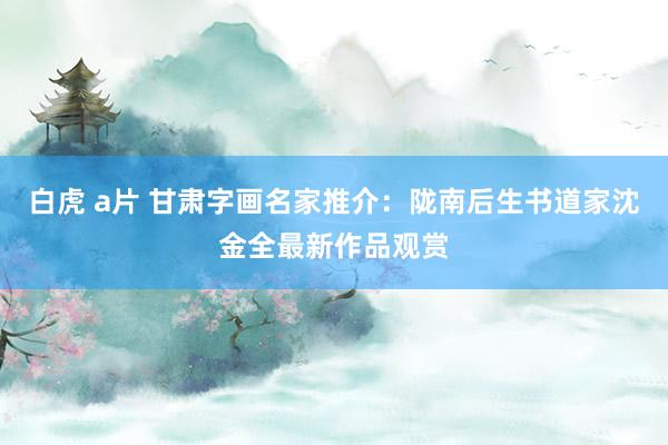 白虎 a片 甘肃字画名家推介：陇南后生书道家沈金全最新作品观赏
