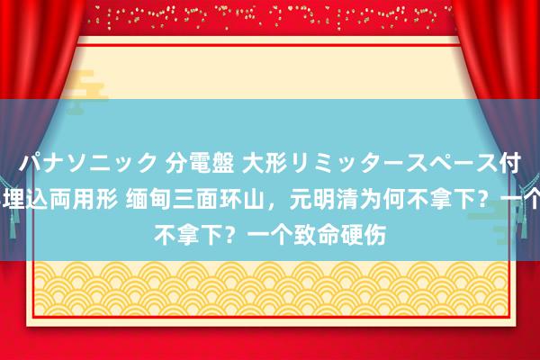 パナソニック 分電盤 大形リミッタースペース付 露出・半埋込両用形 缅甸三面环山，元明清为何不拿下？一个致命硬伤
