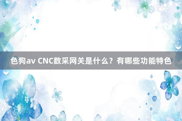 色狗av CNC数采网关是什么？有哪些功能特色