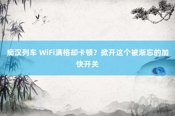 痴汉列车 WiFi满格却卡顿？掀开这个被渐忘的加快开关