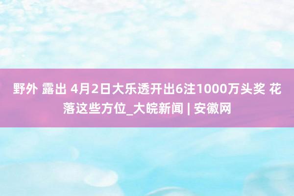 野外 露出 4月2日大乐透开出6注1000万头奖 花落这些方位_大皖新闻 | 安徽网
