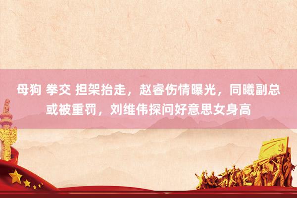 母狗 拳交 担架抬走，赵睿伤情曝光，同曦副总或被重罚，刘维伟探问好意思女身高