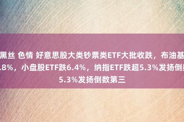 黑丝 色情 好意思股大类钞票类ETF大批收跌，布油基金跌6.8%，小盘股ETF跌6.4%，纳指ETF跌超5.3%发扬倒数第三