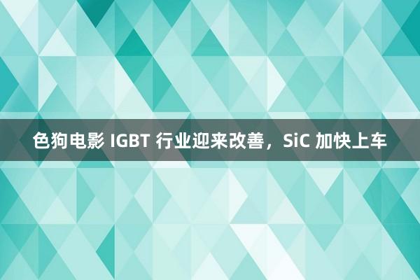 色狗电影 IGBT 行业迎来改善，SiC 加快上车