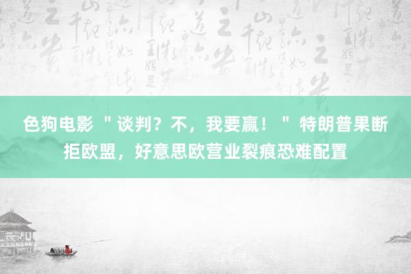 色狗电影 ＂谈判？不，我要赢！＂ 特朗普果断拒欧盟，好意思欧营业裂痕恐难配置