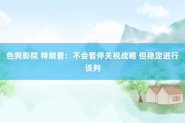 色狗影院 特朗普：不会暂停关税战略 但稳定进行谈判
