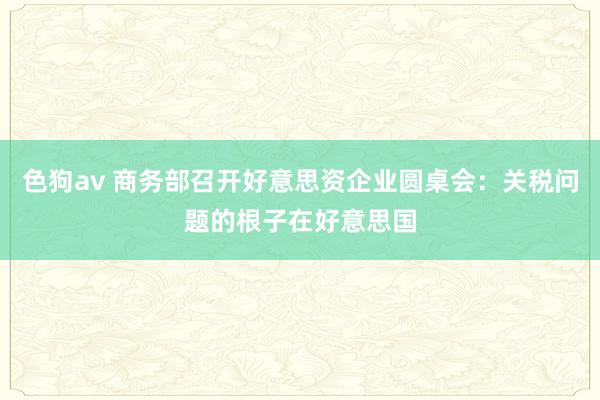 色狗av 商务部召开好意思资企业圆桌会：关税问题的根子在好意思国