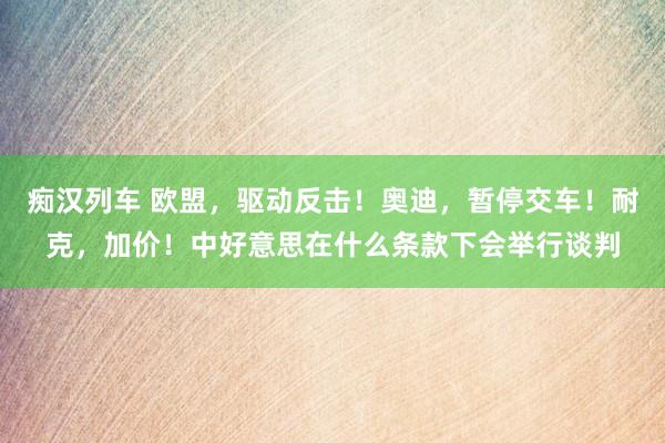 痴汉列车 欧盟，驱动反击！奥迪，暂停交车！耐克，加价！中好意思在什么条款下会举行谈判