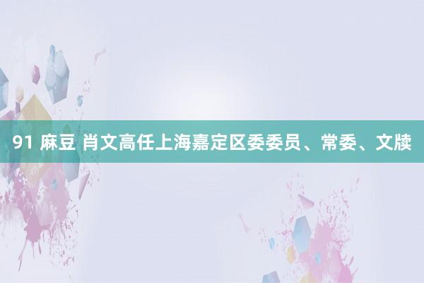 91 麻豆 肖文高任上海嘉定区委委员、常委、文牍