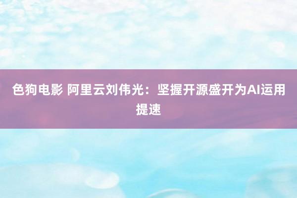 色狗电影 阿里云刘伟光：坚握开源盛开为AI运用提速