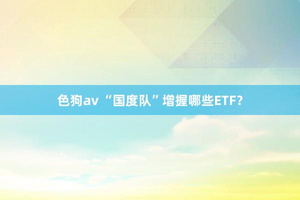 色狗av “国度队”增握哪些ETF？