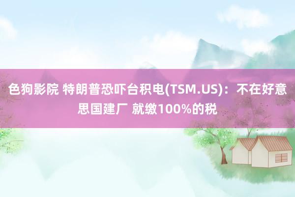 色狗影院 特朗普恐吓台积电(TSM.US)：不在好意思国建厂 就缴100%的税