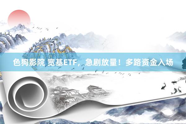 色狗影院 宽基ETF，急剧放量！多路资金入场