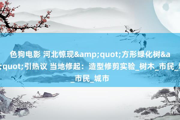 色狗电影 河北惊现&quot;方形绿化树&quot;引热议 当地修起：造型修剪实验_树木_市民_城市
