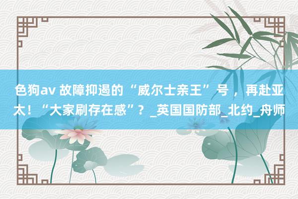 色狗av 故障抑遏的 “威尔士亲王” 号 ，再赴亚太！“大家刷存在感”？_英国国防部_北约_舟师