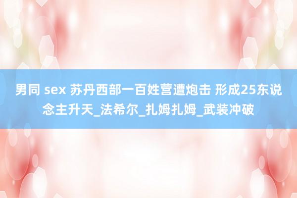 男同 sex 苏丹西部一百姓营遭炮击 形成25东说念主升天_法希尔_扎姆扎姆_武装冲破