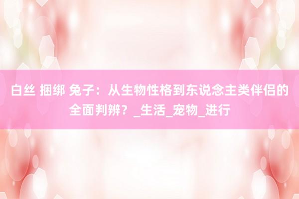 白丝 捆绑 兔子：从生物性格到东说念主类伴侣的全面判辨？_生活_宠物_进行