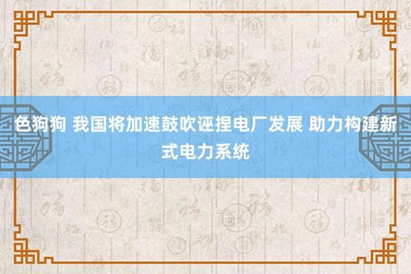 色狗狗 我国将加速鼓吹诬捏电厂发展 助力构建新式电力系统