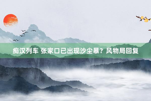 痴汉列车 张家口已出现沙尘暴？风物局回复