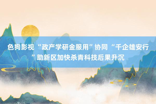 色狗影视 “政产学研金服用”协同 “千企雄安行”助新区加快杀青科技后果升沉