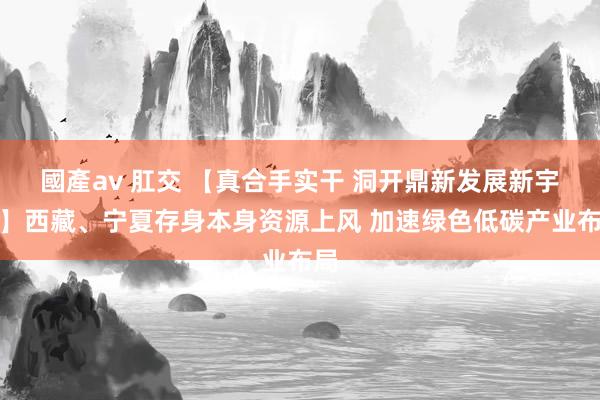 國產av 肛交 【真合手实干 洞开鼎新发展新宇宙】西藏、宁夏存身本身资源上风 加速绿色低碳产业布局