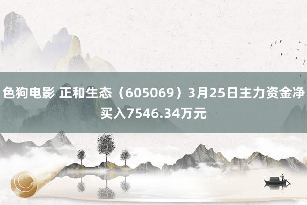 色狗电影 正和生态（605069）3月25日主力资金净买入7546.34万元