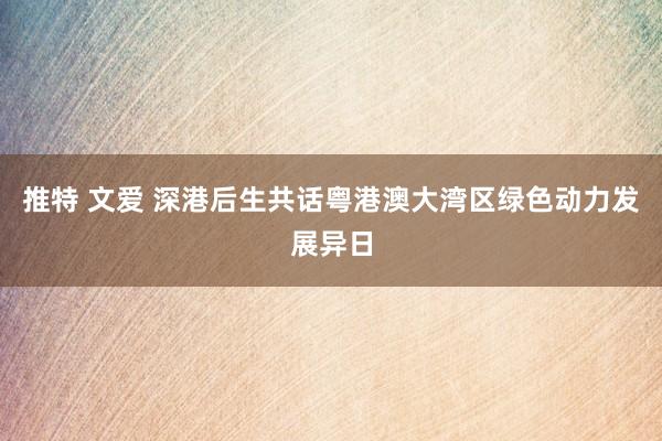 推特 文爱 深港后生共话粤港澳大湾区绿色动力发展异日