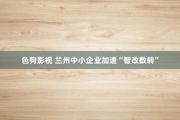 色狗影视 兰州中小企业加速“智改数转”