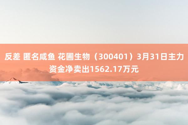 反差 匿名咸鱼 花圃生物（300401）3月31日主力资金净卖出1562.17万元