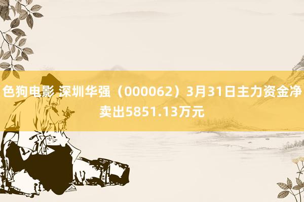 色狗电影 深圳华强（000062）3月31日主力资金净卖出5851.13万元