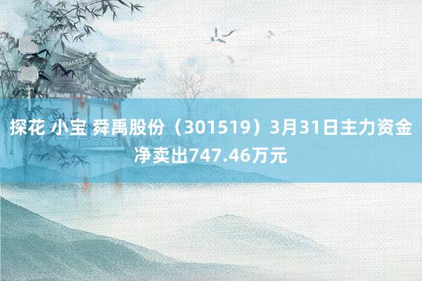 探花 小宝 舜禹股份（301519）3月31日主力资金净卖出747.46万元