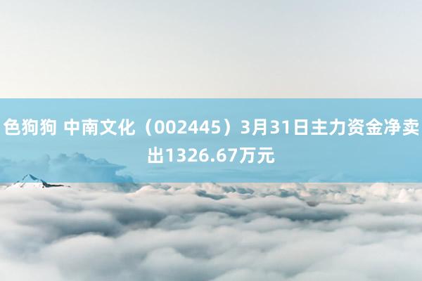 色狗狗 中南文化（002445）3月31日主力资金净卖出1326.67万元