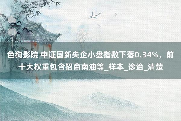 色狗影院 中证国新央企小盘指数下落0.34%，前十大权重包含招商南油等_样本_诊治_清楚