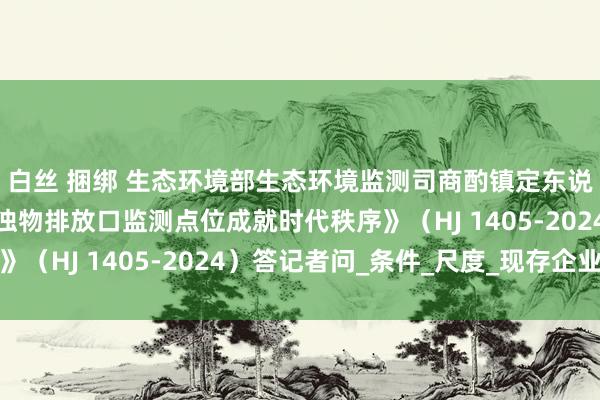 白丝 捆绑 生态环境部生态环境监测司商酌镇定东说念主就《排污单元稠浊物排放口监测点位成就时代秩序》（HJ 1405-2024）答记者问_条件_尺度_现存企业