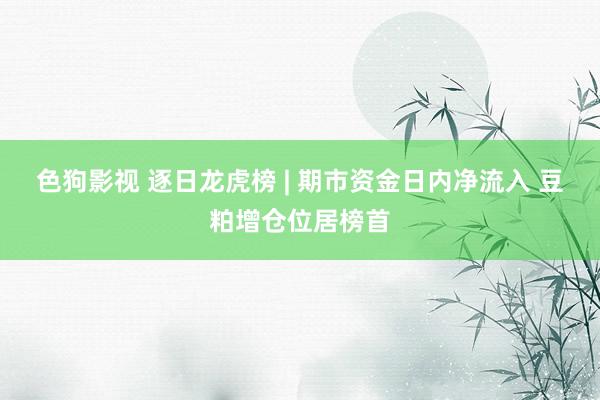 色狗影视 逐日龙虎榜 | 期市资金日内净流入 豆粕增仓位居榜首