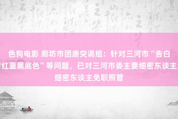 色狗电影 廊坊市团唐突谒组：针对三河市“告白牌匾禁用红蓝黑底色”等问题，已对三河市委主要细密东谈主免职照管