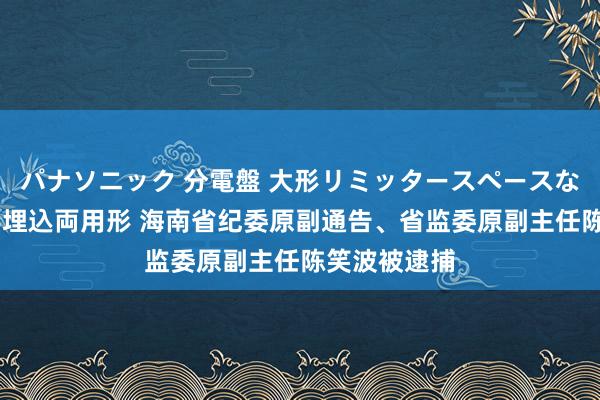 パナソニック 分電盤 大形リミッタースペースなし 露出・半埋込両用形 海南省纪委原副通告、省监委原副主任陈笑波被逮捕
