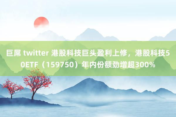 巨屌 twitter 港股科技巨头盈利上修，港股科技50ETF（159750）年内份额劲增超300%