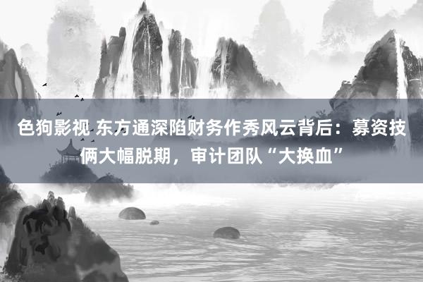 色狗影视 东方通深陷财务作秀风云背后：募资技俩大幅脱期，审计团队“大换血”