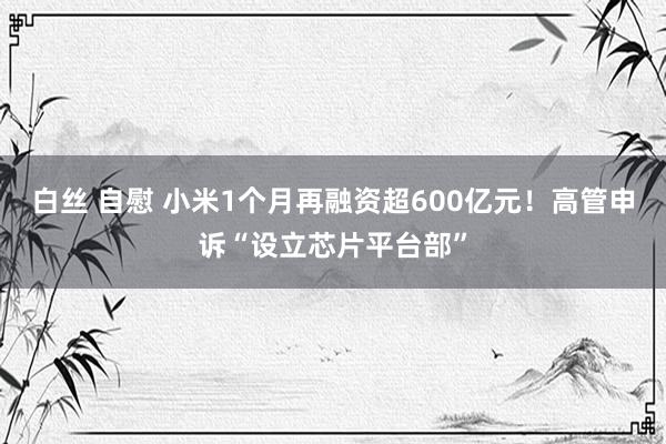 白丝 自慰 小米1个月再融资超600亿元！高管申诉“设立芯片平台部”