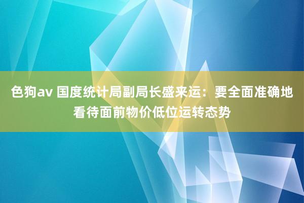 色狗av 国度统计局副局长盛来运：要全面准确地看待面前物价低位运转态势