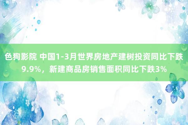 色狗影院 中国1-3月世界房地产建树投资同比下跌9.9%，新建商品房销售面积同比下跌3%