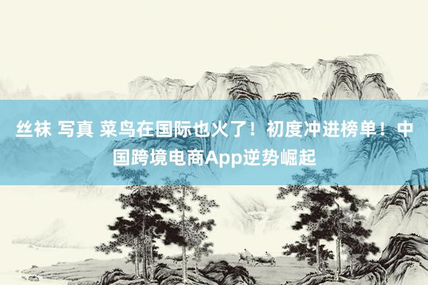 丝袜 写真 菜鸟在国际也火了！初度冲进榜单！中国跨境电商App逆势崛起